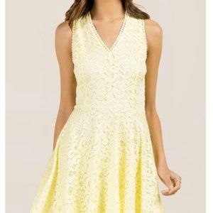 Selah V-Neck Corded Lace A-Line Dress